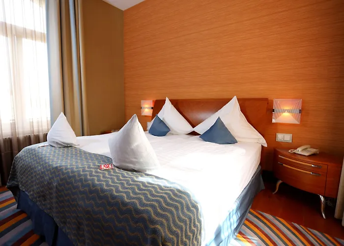 酒店 圣乔治宫酒店