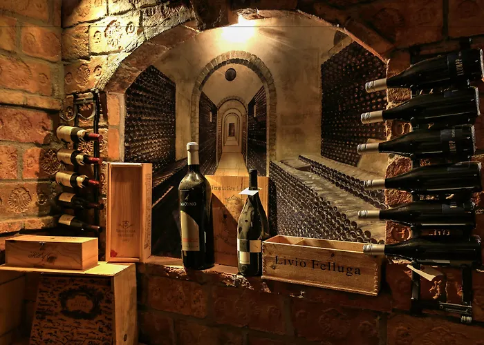 酒店 圣乔治宫酒店 4*